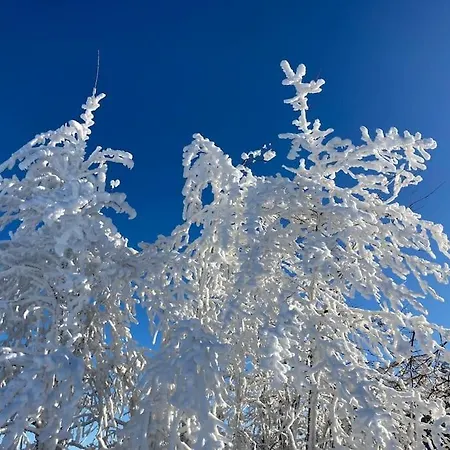 Mit Wintergarten Und Terrasse In Ruhiger Lage Im Schoenen Taunus 公寓