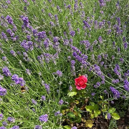 Mit Wintergarten Und Terrasse In Ruhiger Lage Im Schoenen Taunus