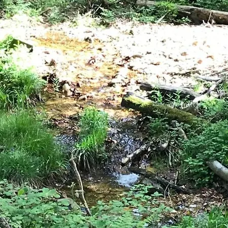 Mit Wintergarten Und Terrasse In Ruhiger Lage Im Schoenen Taunus 公寓 格拉斯许特
