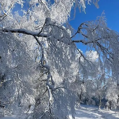 Mit Wintergarten Und Terrasse In Ruhiger Lage Im Schoenen Taunus 公寓 格拉斯许特