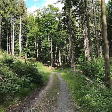 Mit Wintergarten Und Terrasse In Ruhiger Lage Im Schoenen Taunus 公寓
