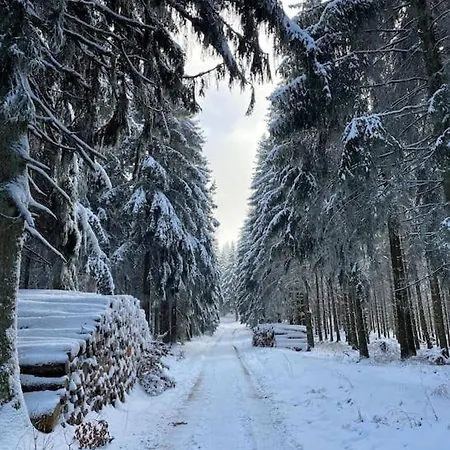Mit Wintergarten Und Terrasse In Ruhiger Lage Im Schoenen Taunus *