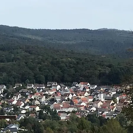 公寓 Mit Wintergarten Und Terrasse In Ruhiger Lage Im Schoenen Taunus *