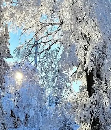 Mit Wintergarten Und Terrasse In Ruhiger Lage Im Schoenen Taunus 公寓 *