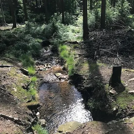 Mit Wintergarten Und Terrasse In Ruhiger Lage Im Schoenen Taunus 公寓 *