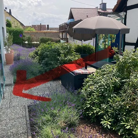 Mit Wintergarten Und Terrasse In Ruhiger Lage Im Schoenen Taunus 公寓 *