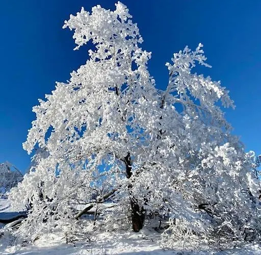Apartamento Mit Wintergarten Und Terrasse In Ruhiger Lage Im Schoenen Taunus *