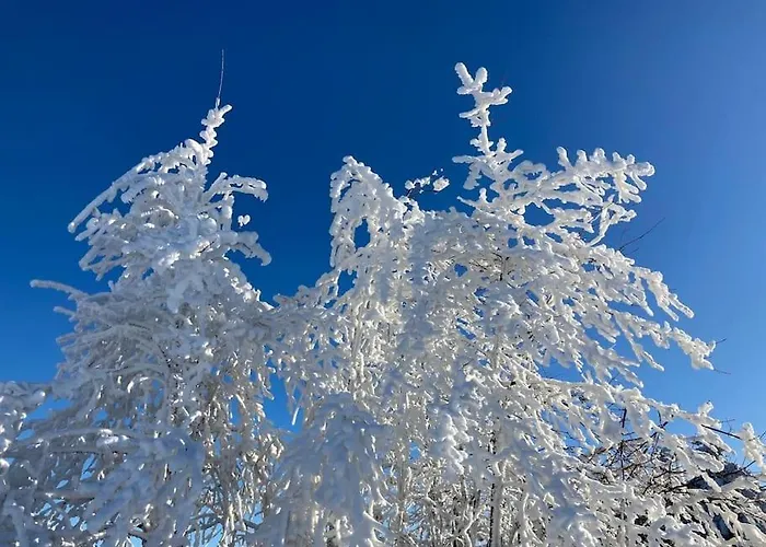 Mit Wintergarten Und Terrasse In Ruhiger Lage Im Schoenen Taunus Apartamento
