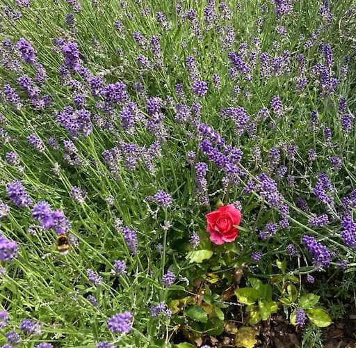 Mit Wintergarten Und Terrasse In Ruhiger Lage Im Schoenen Taunus
