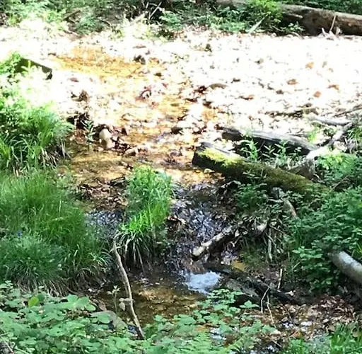 Mit Wintergarten Und Terrasse In Ruhiger Lage Im Schoenen Taunus Apartamento Glashutten (Hessen)