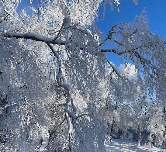 Mit Wintergarten Und Terrasse In Ruhiger Lage Im Schoenen Taunus Apartamento Glashutten (Hessen)