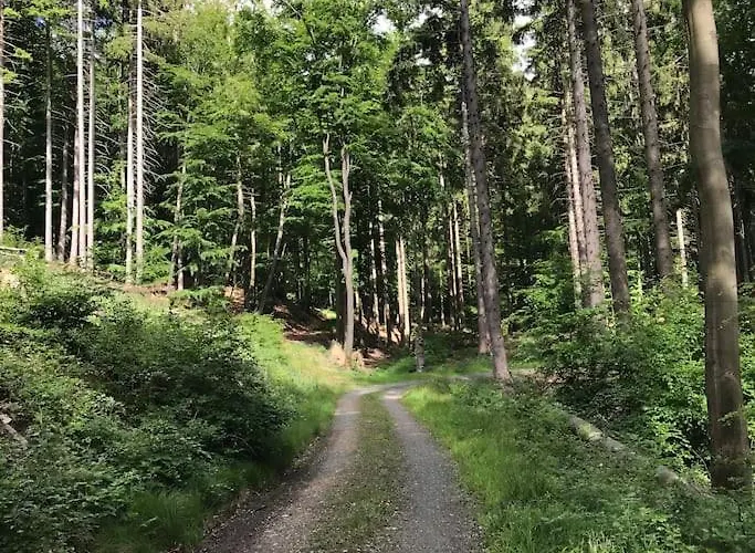 Mit Wintergarten Und Terrasse In Ruhiger Lage Im Schoenen Taunus Apartamento