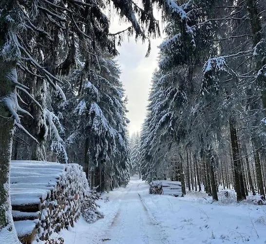 Mit Wintergarten Und Terrasse In Ruhiger Lage Im Schoenen Taunus *