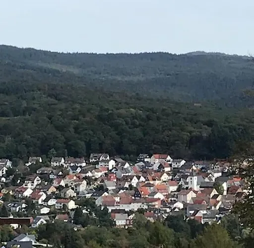 Apartamento Mit Wintergarten Und Terrasse In Ruhiger Lage Im Schoenen Taunus *