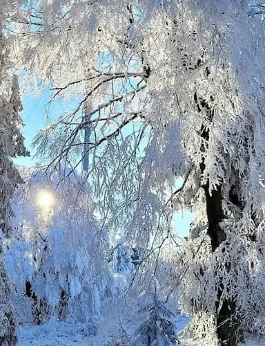 Mit Wintergarten Und Terrasse In Ruhiger Lage Im Schoenen Taunus Apartamento *