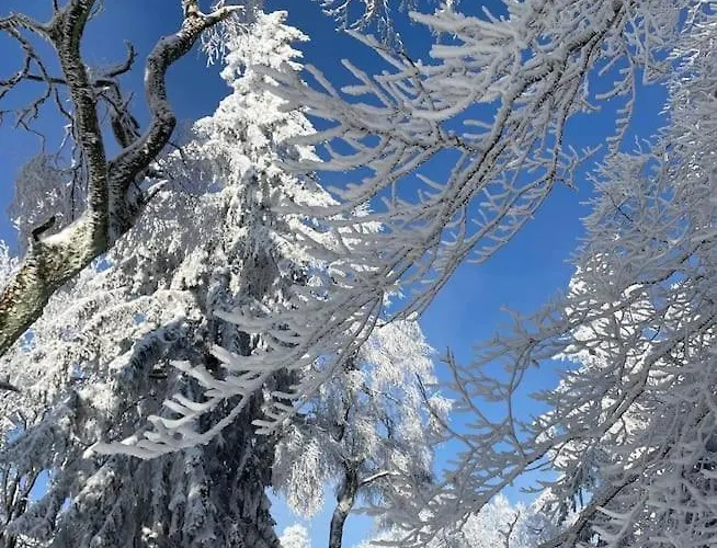 Mit Wintergarten Und Terrasse In Ruhiger Lage Im Schoenen Taunus * Glashutten (Hessen)