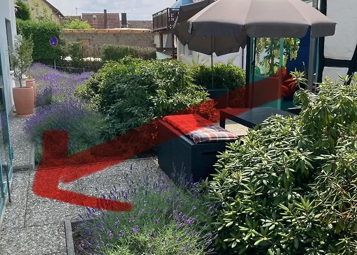 Mit Wintergarten Und Terrasse In Ruhiger Lage Im Schoenen Taunus Apartamento *